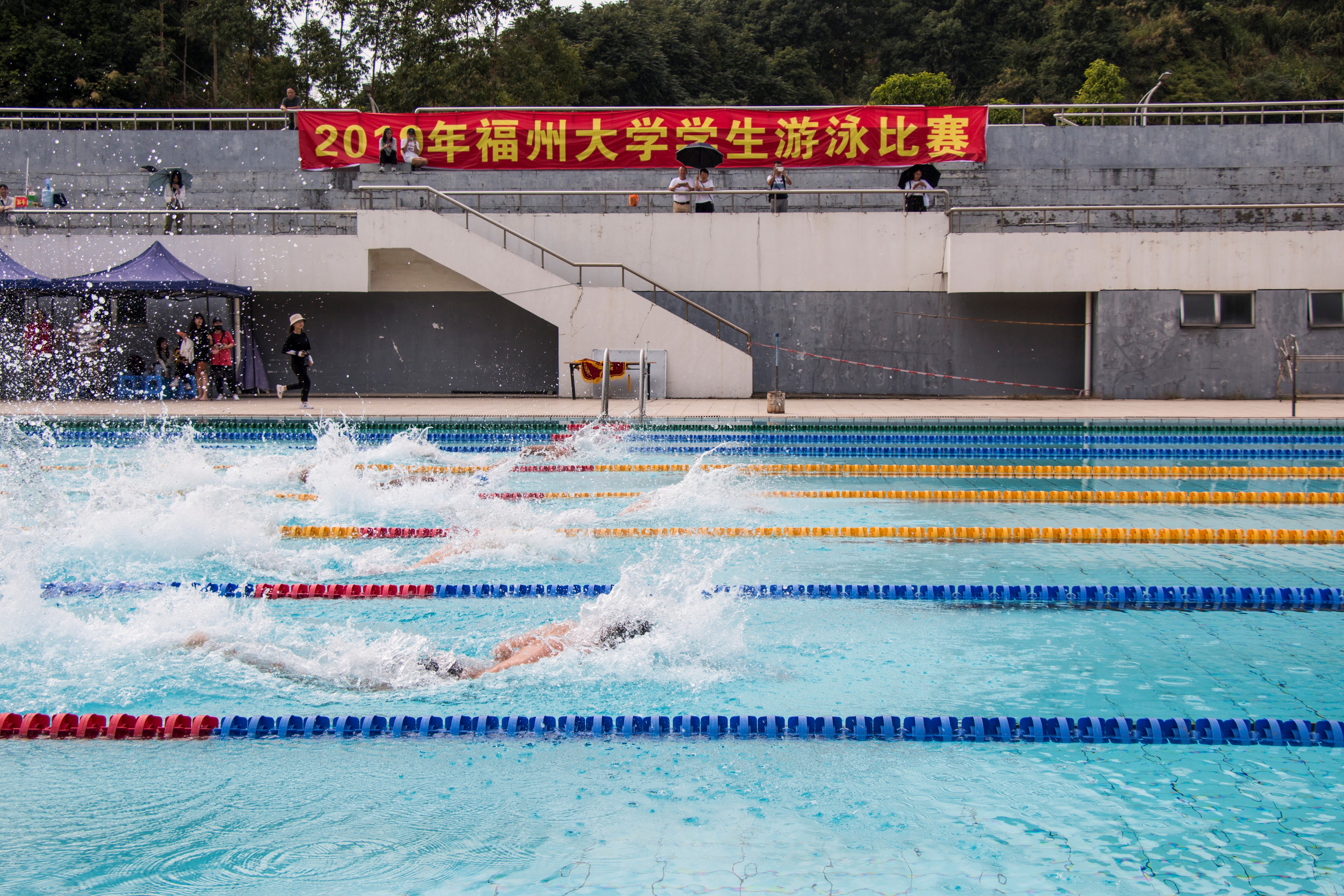 【体育部】2019年福州大学学生游泳比赛成功举办