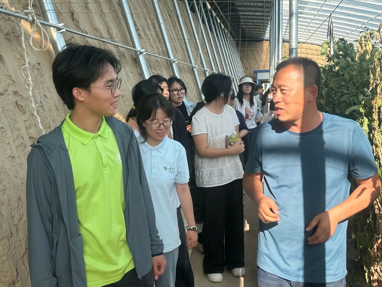 33451
