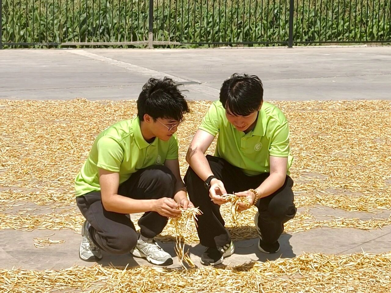48159